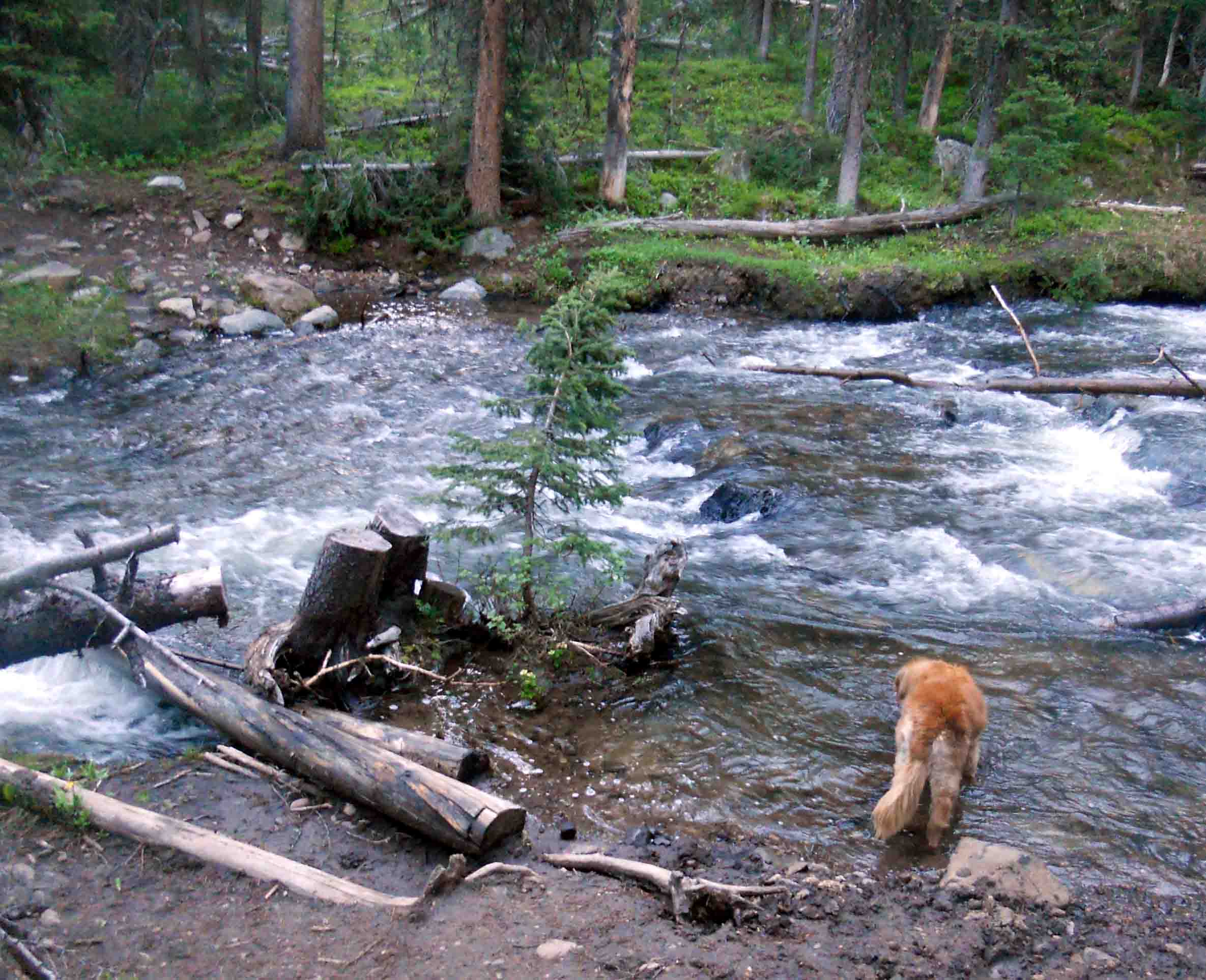 Portal Creek crossing